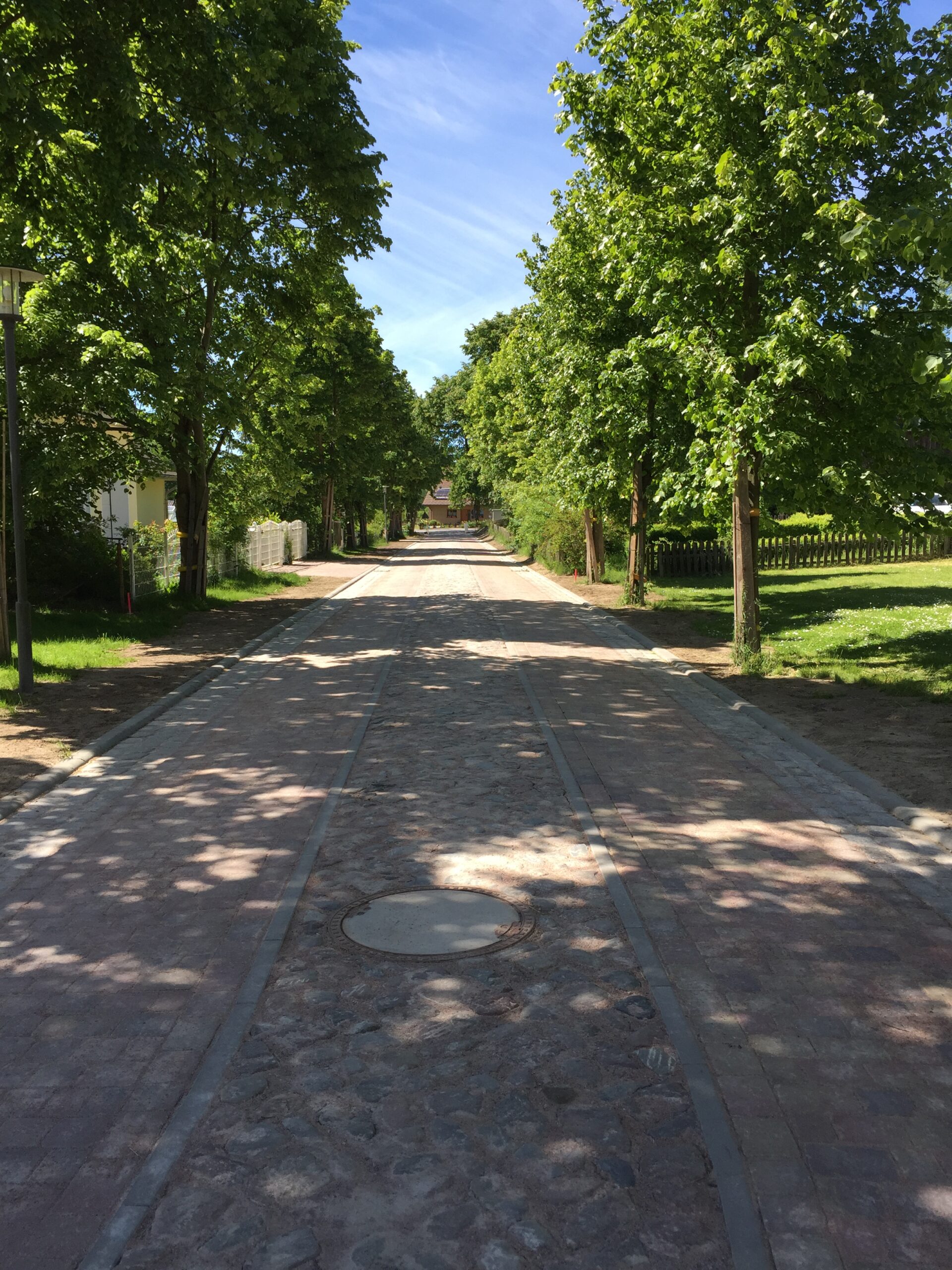 Projektumfeld – Planung und Umsetzung